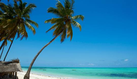 Zanzibar Christmas Beach Escape